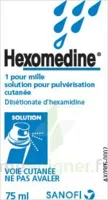 Hexomedine 1 Pour Mille, Solution Pour Pulvérisation Cutanée En Flacon Pressurisé à Pau